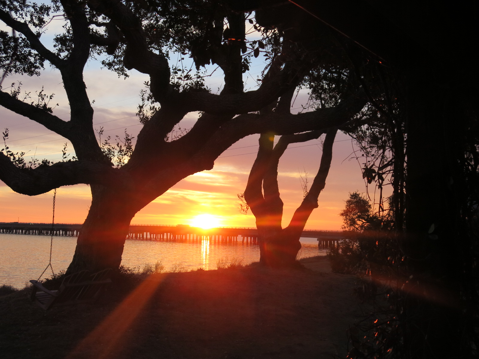 SUNNYSIDE UP MOMENT April 10, 2020